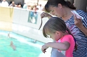 Kids_SeaWorldSA-2013 (170)